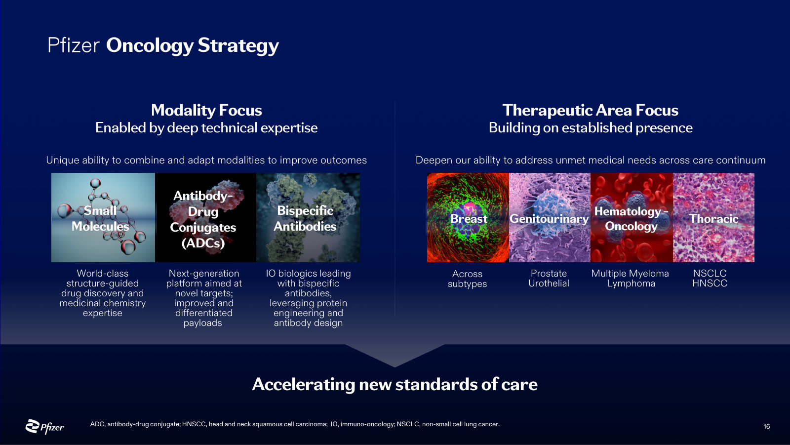The strategy on a page: three modalities (small molecules, ADCs, bispecifics) across four tumor areas.