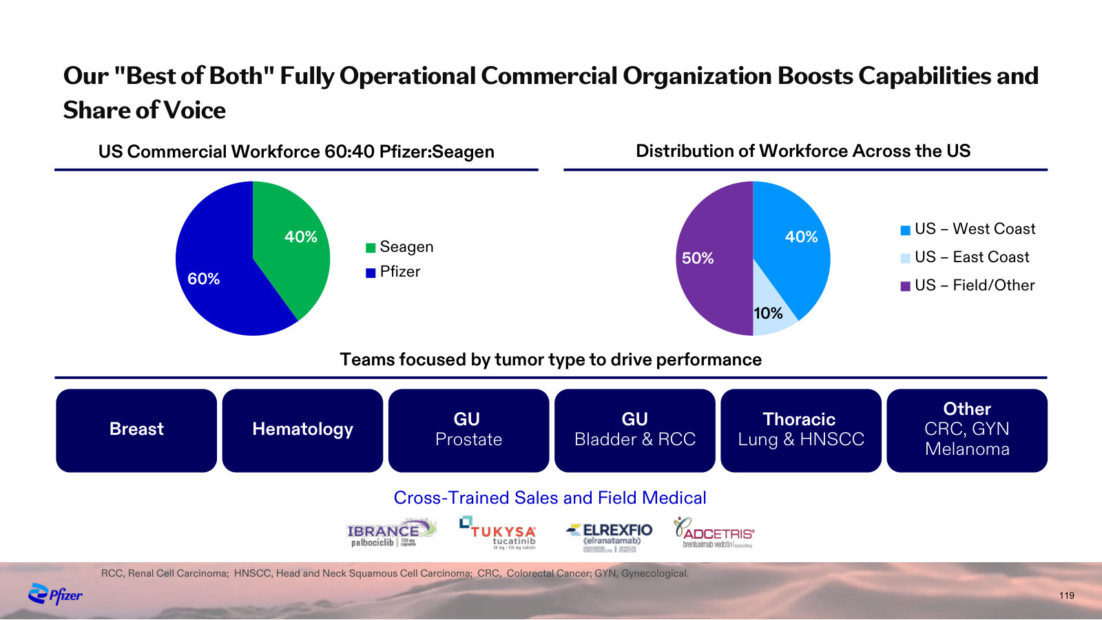How the commercial organization is built — a 60:40 Pfizer:Seagen workforce structured into tumor-type teams.